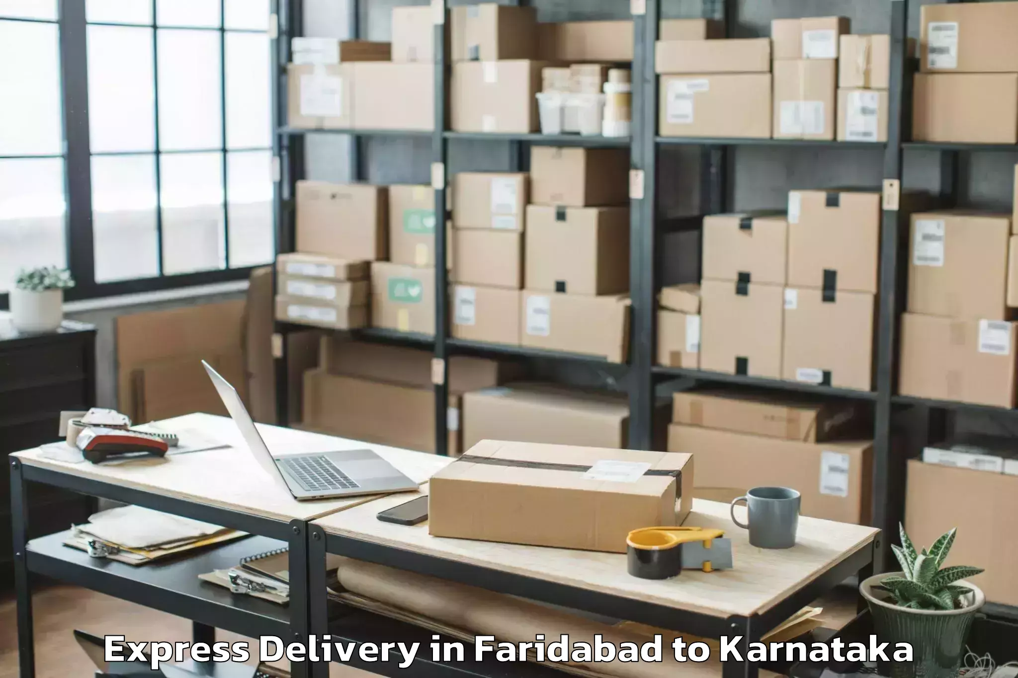 Easy Faridabad to Koppa Rural Express Delivery Booking